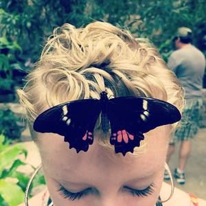 Meet your Posher, Laney